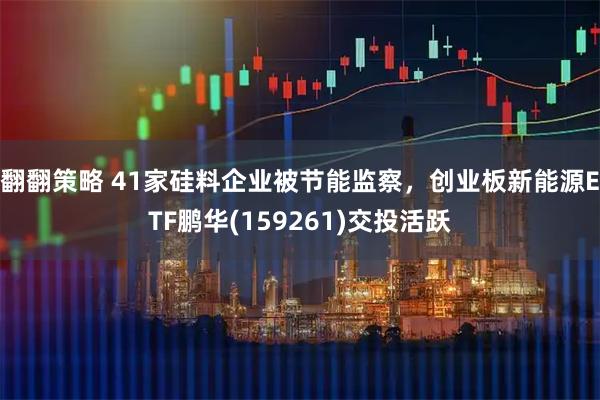 翻翻策略 41家硅料企业被节能监察，创业板新能源ETF鹏华(159261)交投活跃